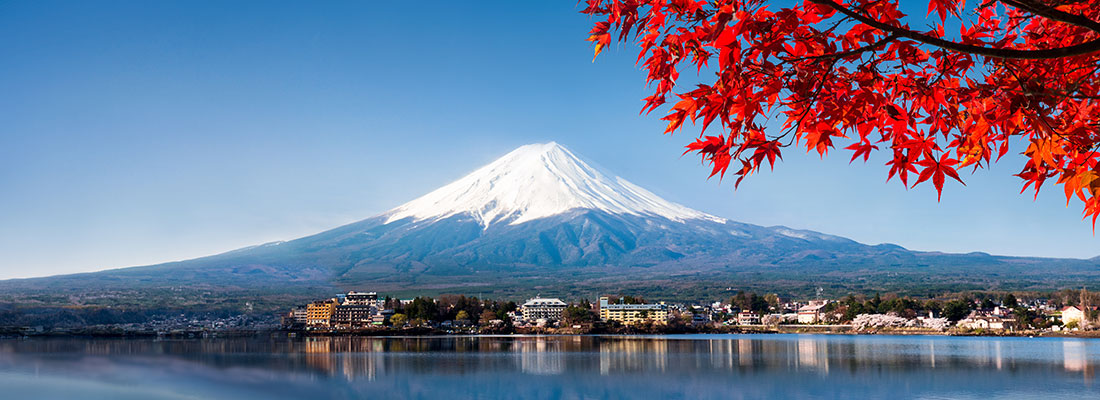 2024 Japan Cup Tour Guide